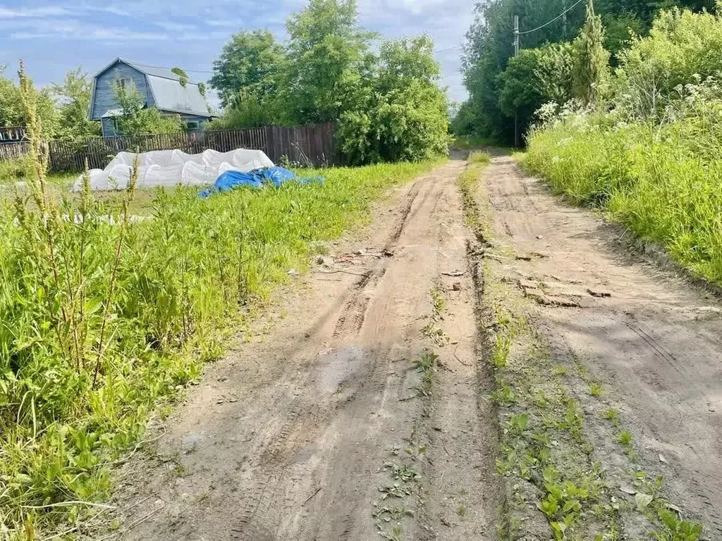 Участок в Вологодская область, д. Бурцево ул. Садовая (12.65 сот.) - Фото 1