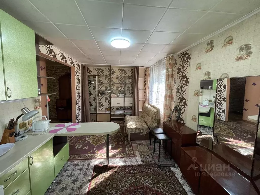 1-к кв. Кемеровская область, Новокузнецк ул. Тореза, 2А (30.1 м) - Фото 1