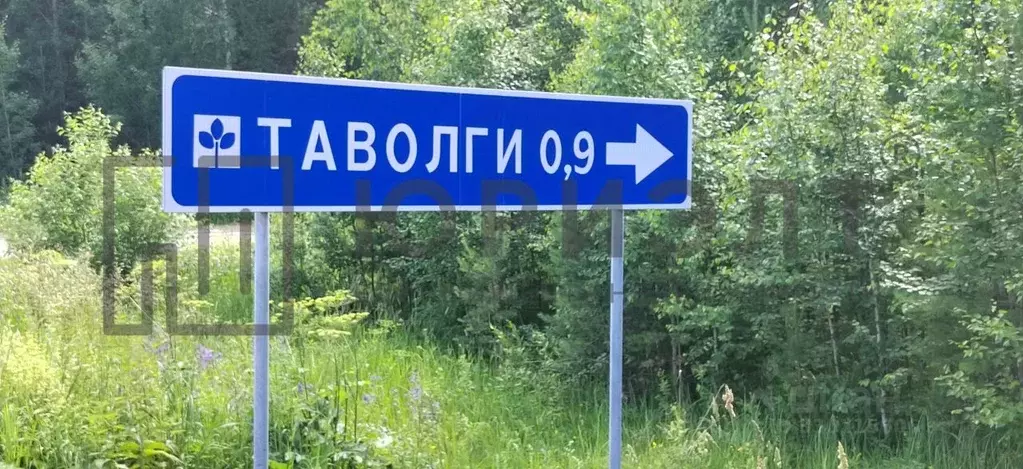 Участок в Свердловская область, Невьянский муниципальный округ, ... - Фото 1
