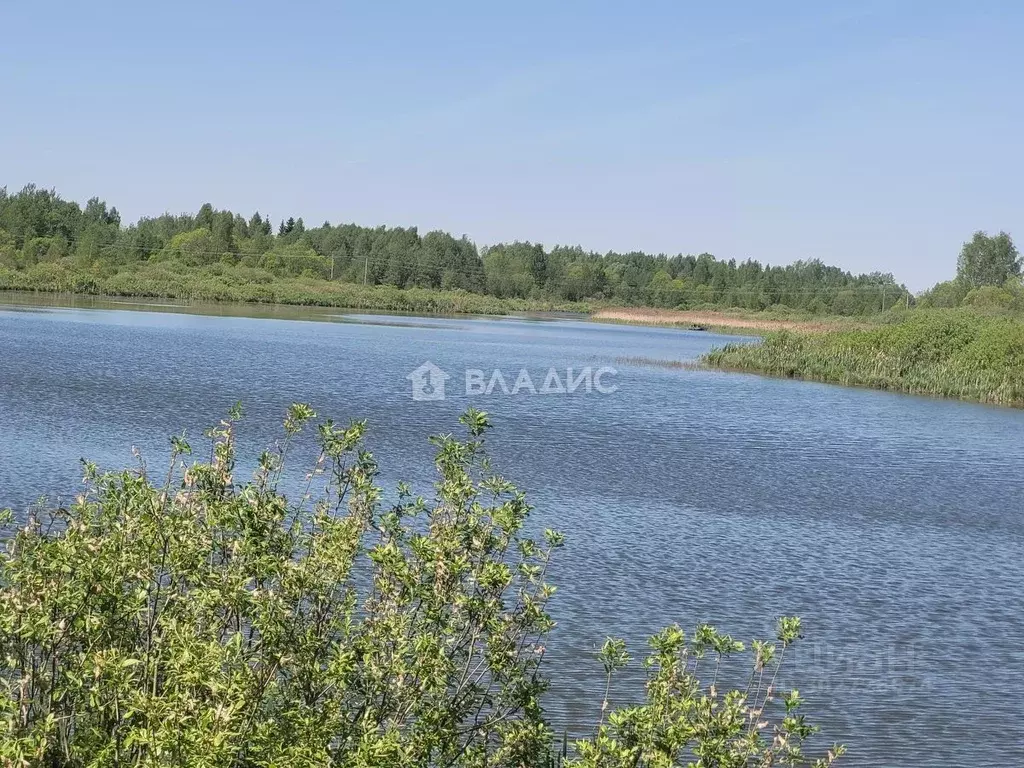 Участок в Тверская область, Калининский муниципальный округ, с. ... - Фото 0