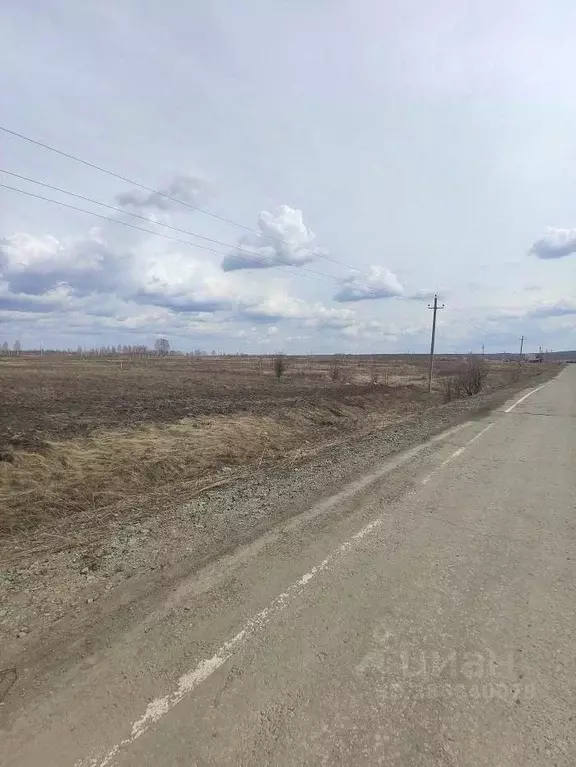 Участок в Челябинская область, Чебаркульский район, пос. Бишкиль  ... - Фото 2