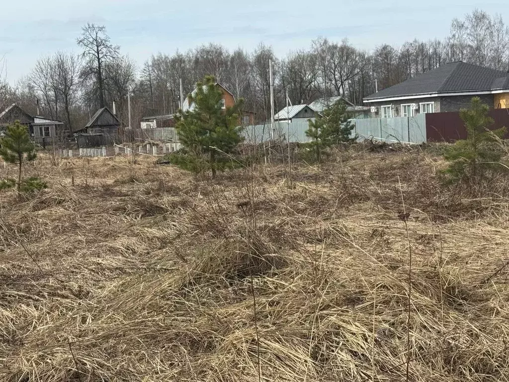 Участок в Московская область, Богородский городской округ, д. Меленки  ... - Фото 2