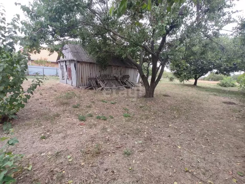 Участок в Краснодарский край, Ейский район, Кухаривское с/пос, с. ... - Фото 2