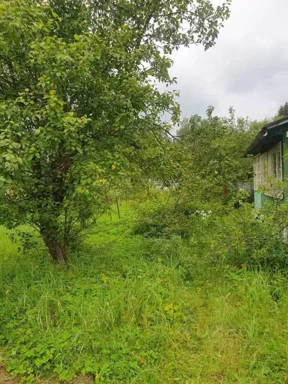Дом в Московская область, Богородский городской округ, имени ... - Фото 1