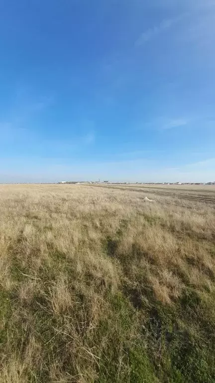 Участок в Крым, Сакский район, Молочненское с/пос, с. Витино уч2 (5.0 ... - Фото 0