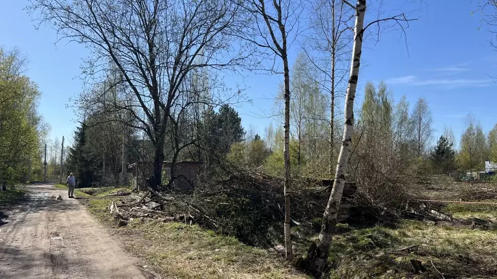 Участок в Ленинградская область, Всеволожское городское поселение, ... - Фото 2