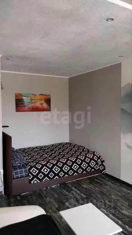 1-к кв. Пермский край, Пермь ул. Тургенева, 20 (28.0 м) - Фото 1