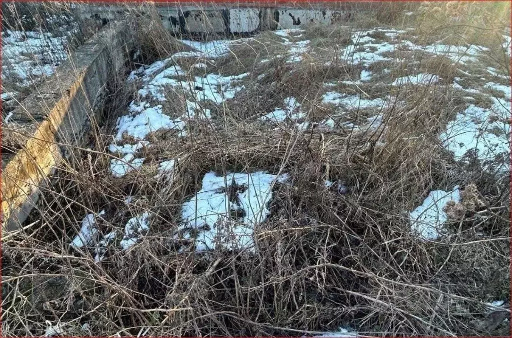 Участок в Московская область, Коломна городской округ, пос. Индустрия  ... - Фото 1
