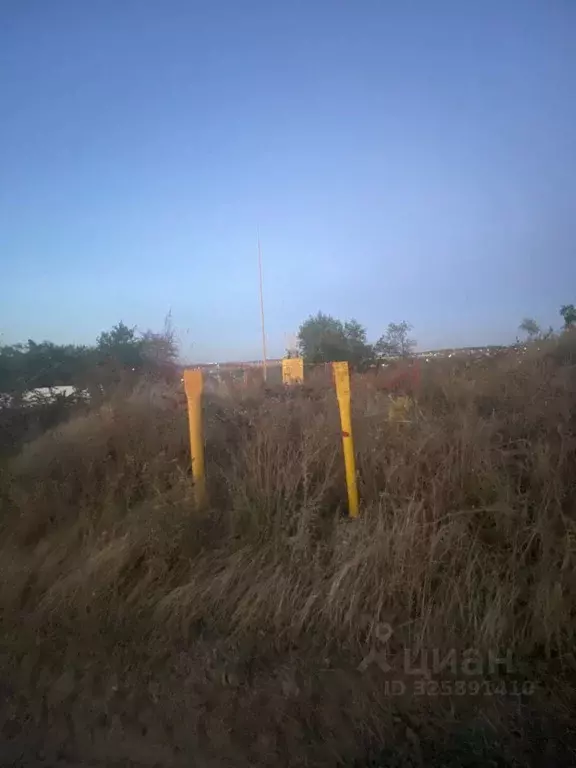 Участок в Ростовская область, Аксайский район, Большелогское с/пос, ... - Фото 2