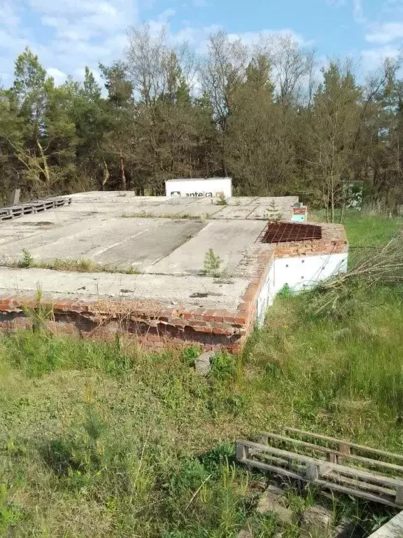 Участок в Белгородская область, Белгородский район, Новосадовское ... - Фото 1