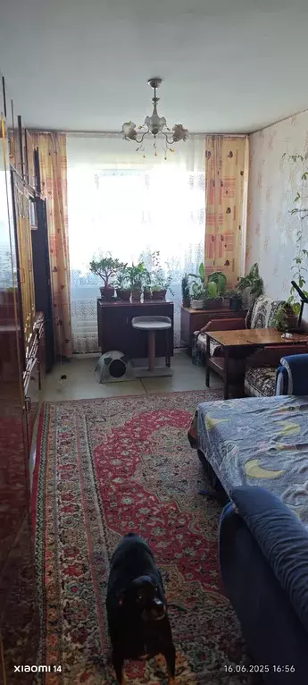Продаётся 3-к квартира, 66 м - Фото 1