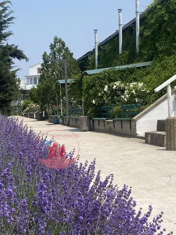 Студия Севастополь пос. Любимовка, ул. Южногородская, 36к16 (18.0 м) - Фото 1
