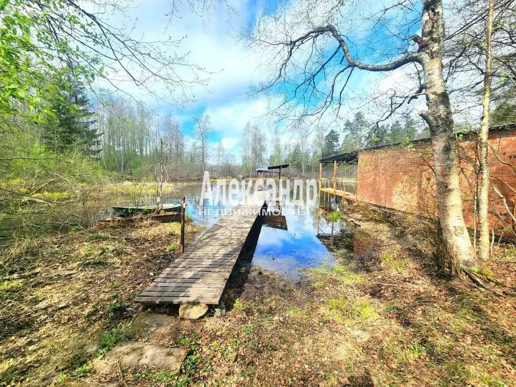 Дом в Ларионовское сельское поселение, посёлок Беличье, Кировская ... - Фото 1