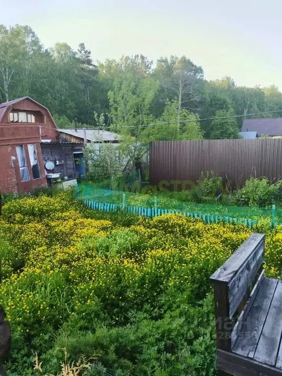 Дом в Новосибирская область, Новосибирский район, Новолуговской ... - Фото 1