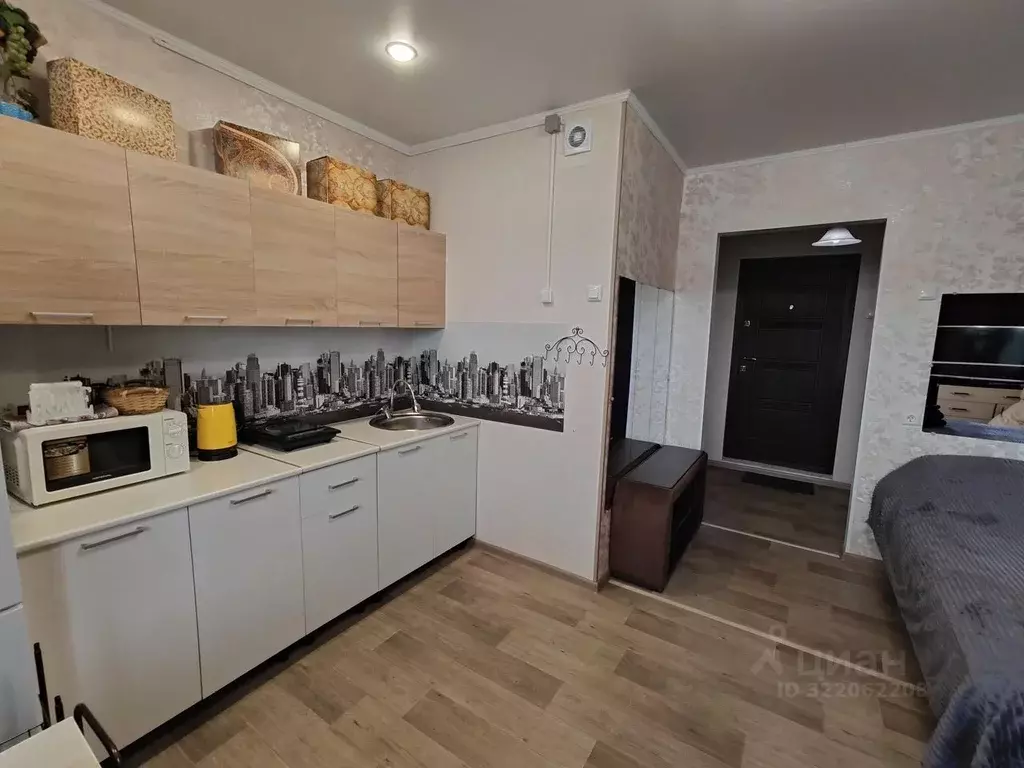 1-к кв. Челябинская область, Миасс ул. Богдана Хмельницкого, 50 (26.0 ... - Фото 2