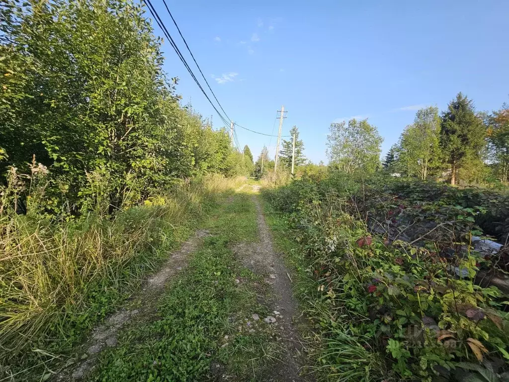 Участок в Тверская область, Кимрский муниципальный округ, Чайка ... - Фото 1