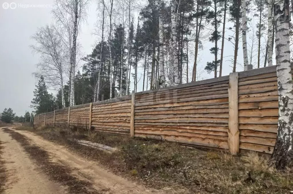 Участок в Рамонский район, Новоживотинновское сельское поселение, ... - Фото 2