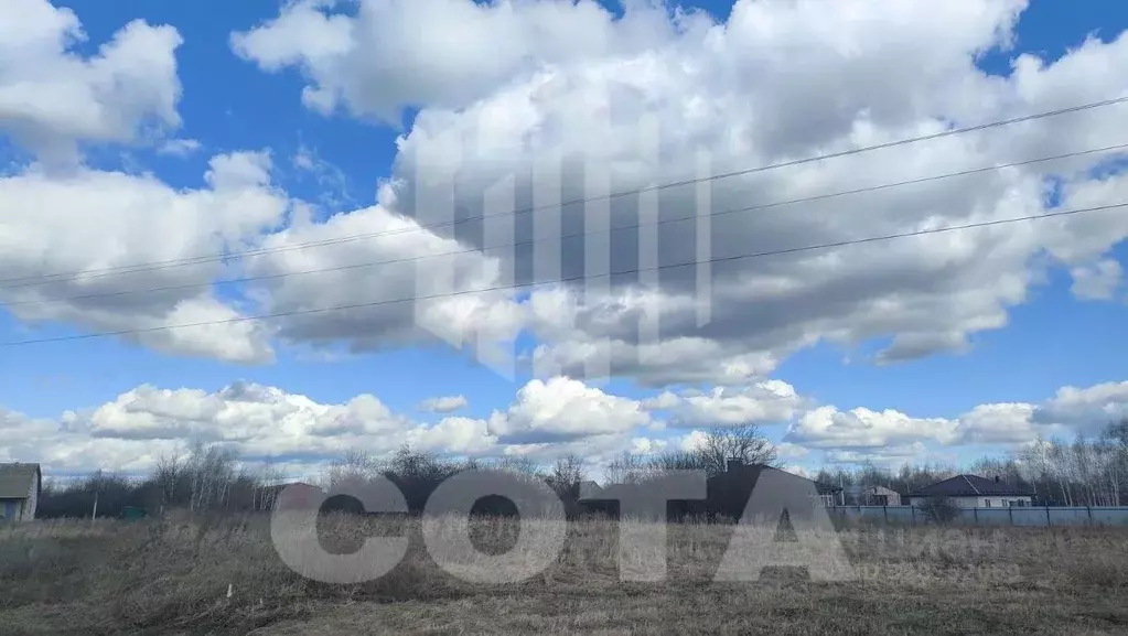 Участок в Воронежская область, Рамонский район, с. Ступино Совхозный ... - Фото 2