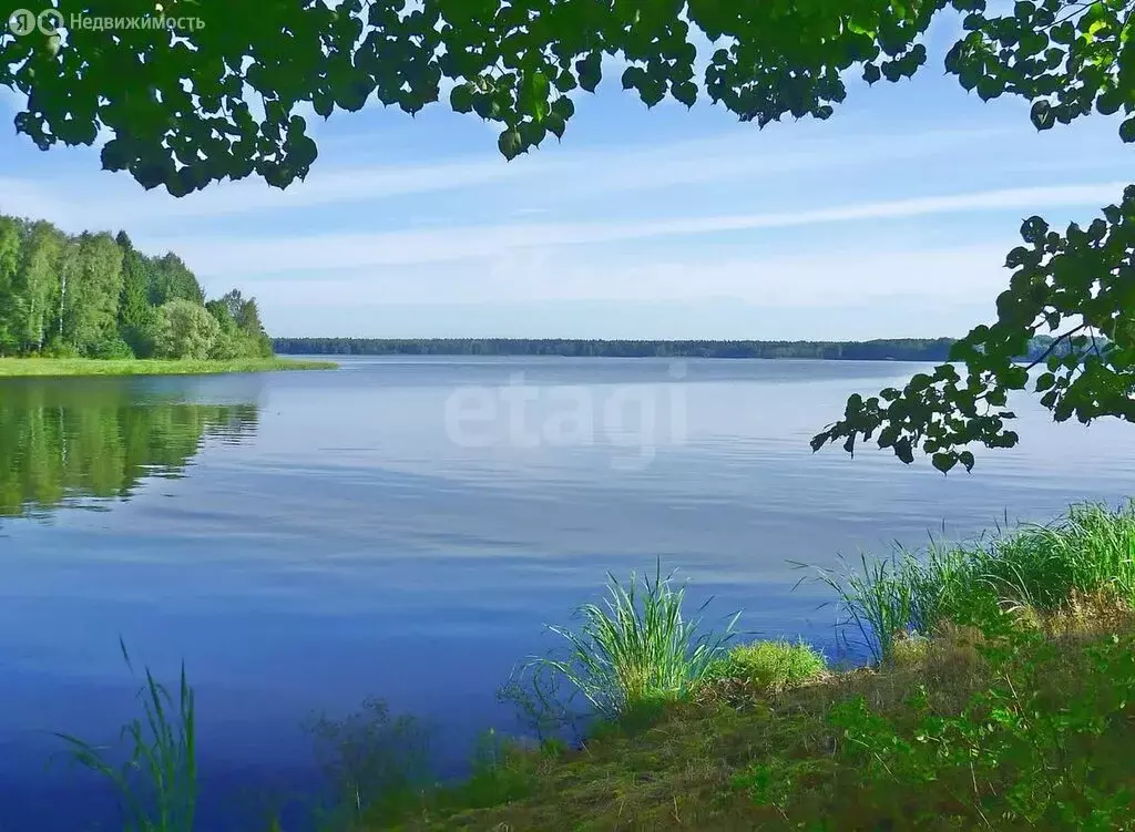 Дом в Пушкино, микрорайон Новая Деревня, Центральная улица, 2 (158.2 ... - Фото 0