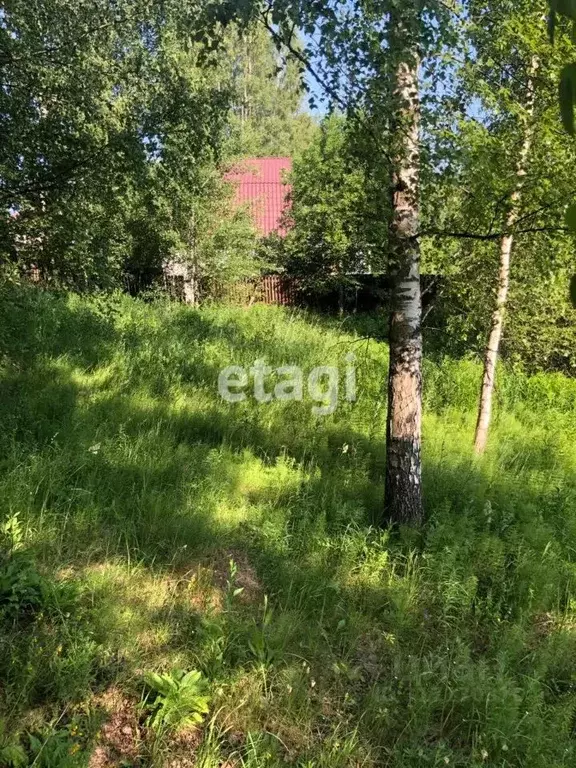 Участок в Ленинградская область, Всеволожский район, Колтушское ... - Фото 0