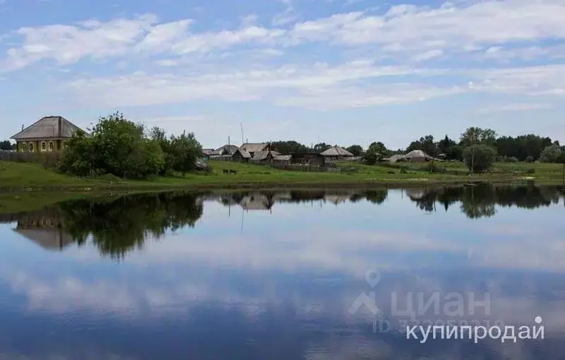 Участок в Омская область, Любинский район, Красный Яр рп Комсомольская ... - Фото 1