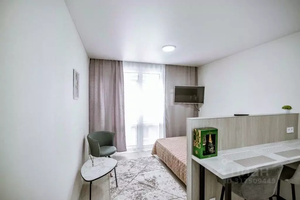 Студия Сахалинская область, Южно-Сахалинск Больничная ул., 2к7 (25.0 ... - Фото 1