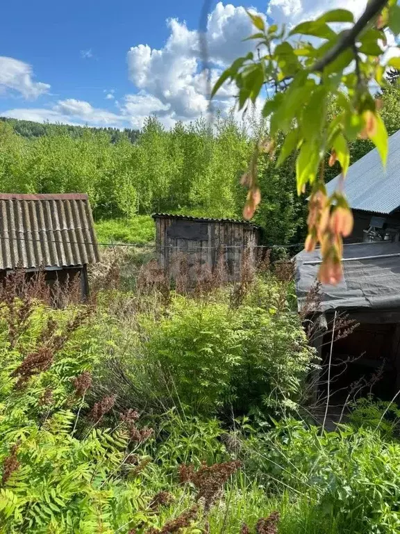 Дом в Кемеровская область, Калтанский городской округ, пос. Малиновка ... - Фото 1