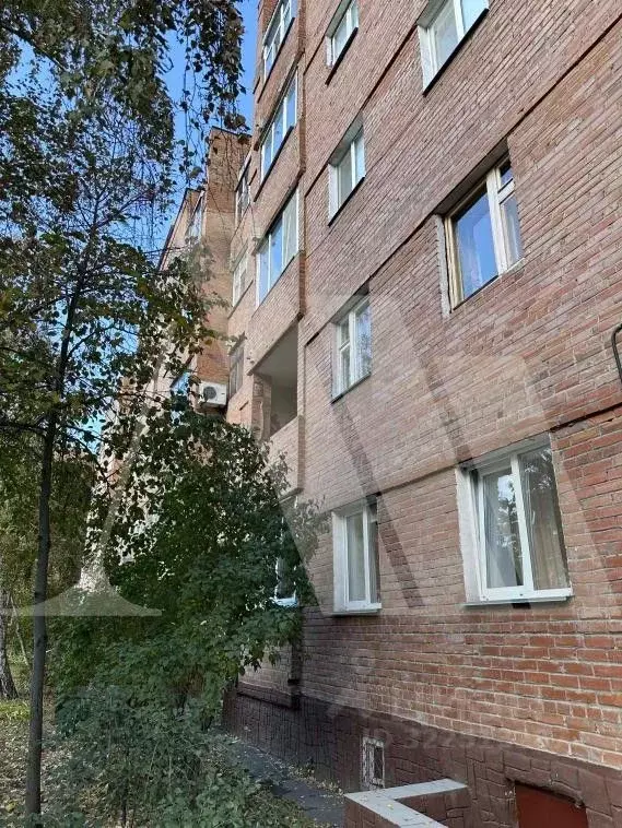 2-к кв. Омская область, Омск Почтовая ул., 6 (52.5 м) - Фото 1