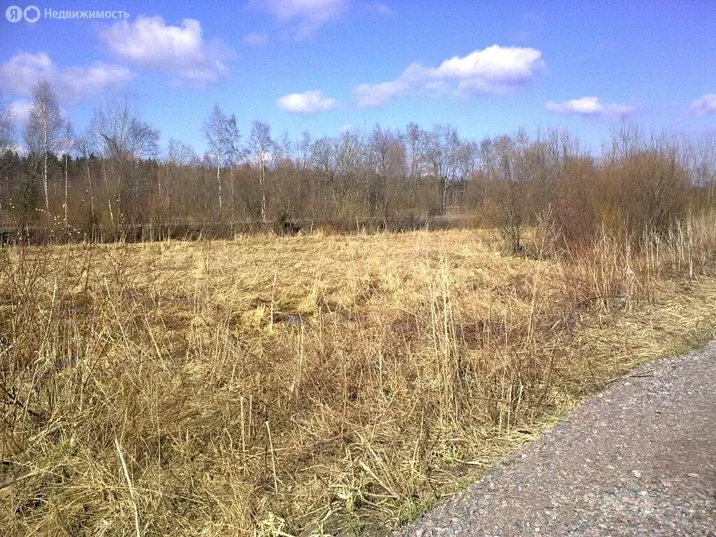 Участок в Ленинградская область, 41К-308 (4.6 м) - Фото 1