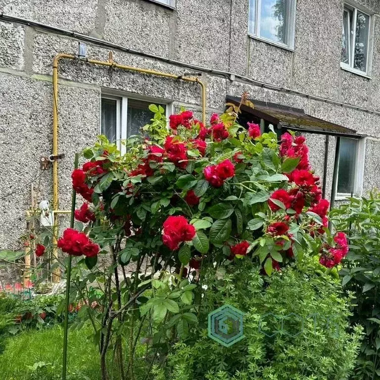 2-комнатная квартира: Калининград, улица Баженова, 17 (44 м) - Фото 1
