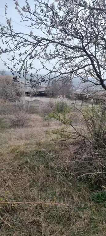 Участок в Крым, Феодосия муниципальный округ, с. Солнечное ул. ... - Фото 1