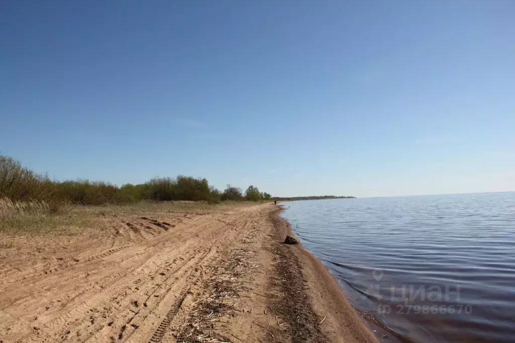 Коттедж в Псковская область, Гдов городское поселение, д. Луневщина  ... - Фото 1