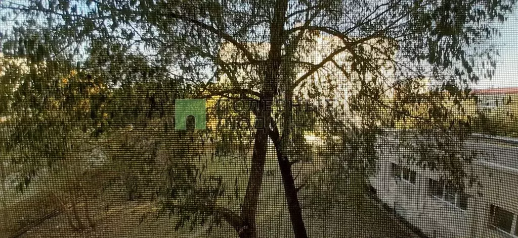 Комната Курганская область, Курган ул. Дзержинского, 39 (17.2 м) - Фото 2