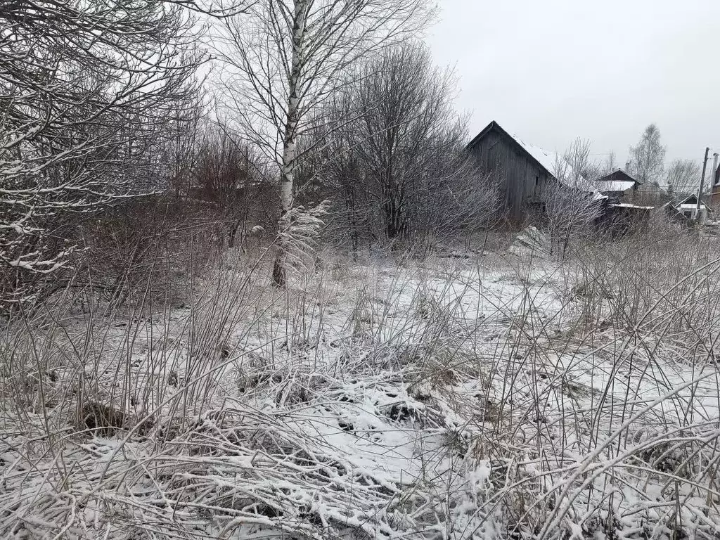 Участок в Нижегородская область, Арзамас городской округ, с. Криуша ... - Фото 0