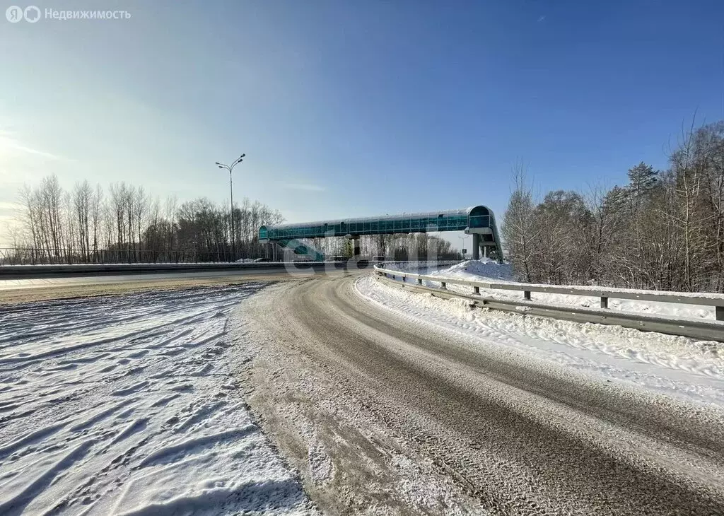 Участок в Айшинское сельское поселение, село Ильинское (15 м) - Фото 2