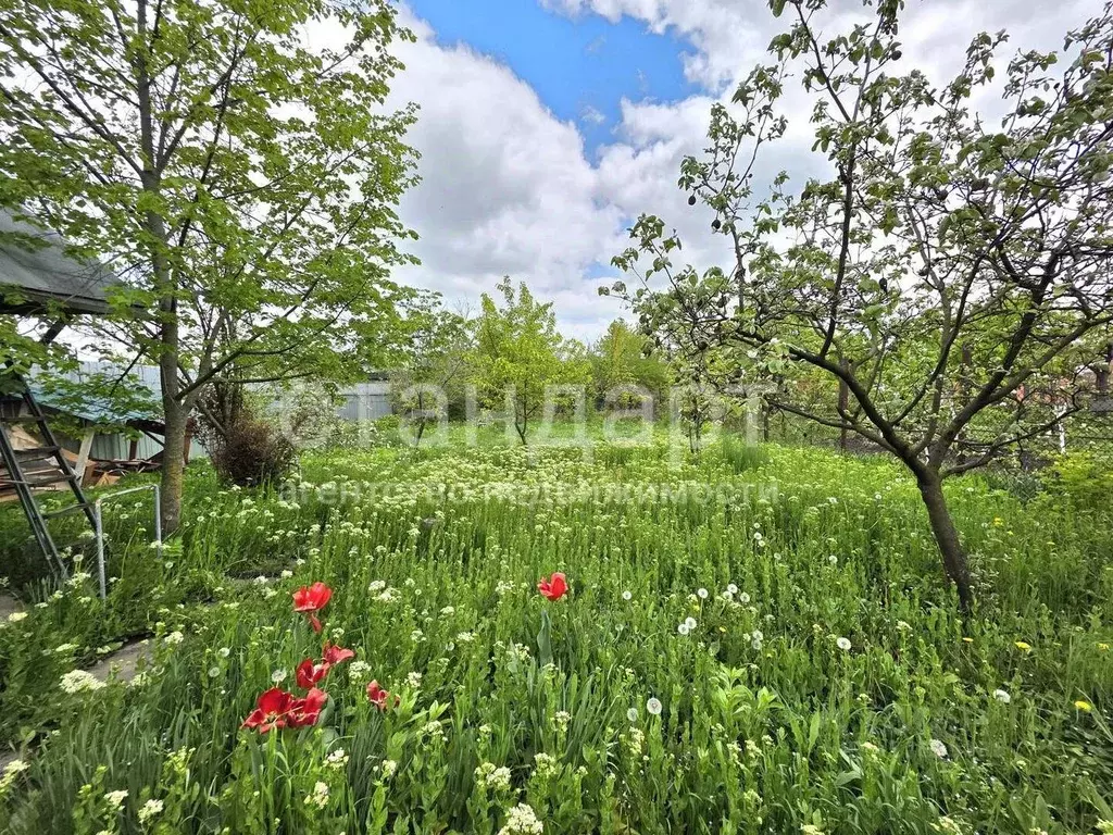 Дом в Ставропольский край, Ессентуки Мичуринец СНТ, проезд 3-й (66 м) - Фото 1