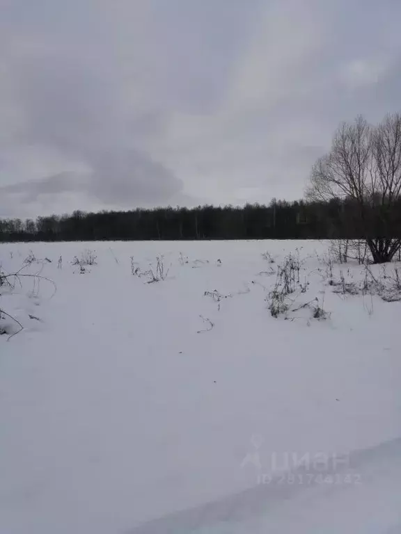 Участок в Тульская область, Веневский район, д. Чусово  (50.0 сот.) - Фото 2