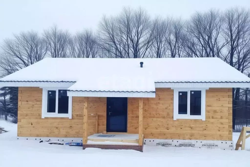 Дом в Удмуртия, Завьяловский район, д. Каменное ул. 2-я Весенняя (837 ... - Фото 1