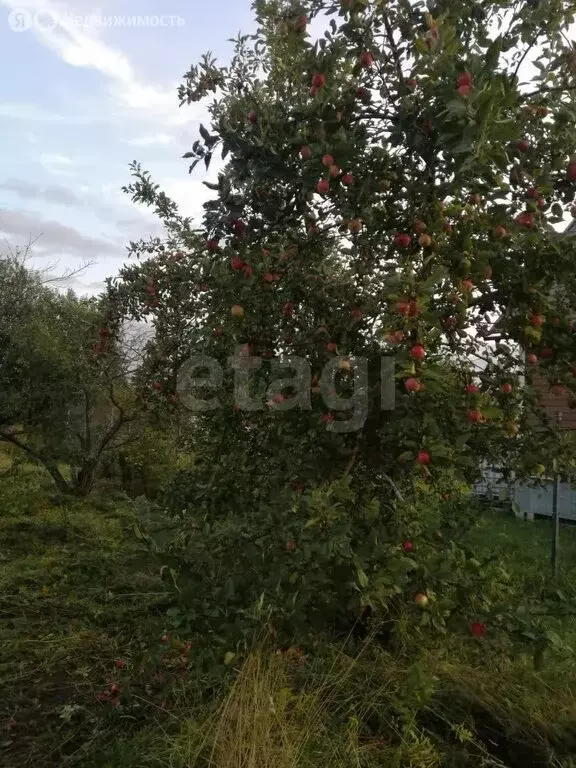 Участок в Павловск, СНТ Славяночка-3 (9.4 м) - Фото 2