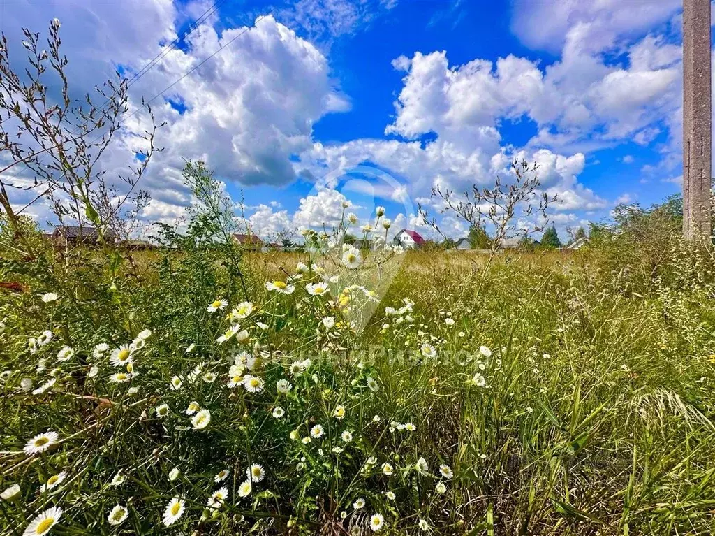 Участок в Рязанская область, Рязанский район, Полянское с/пос, Заря ... - Фото 1