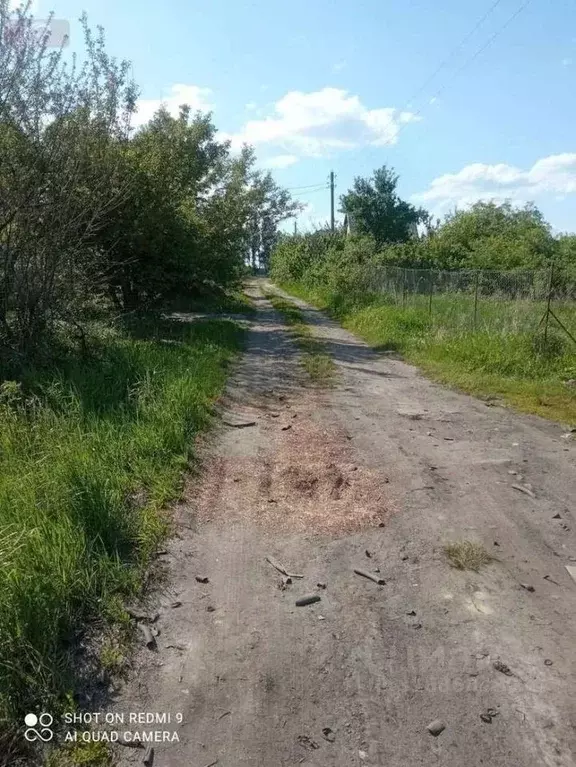 Участок в Воронежская область, Новоусманский район, Усманское 1-е ... - Фото 1