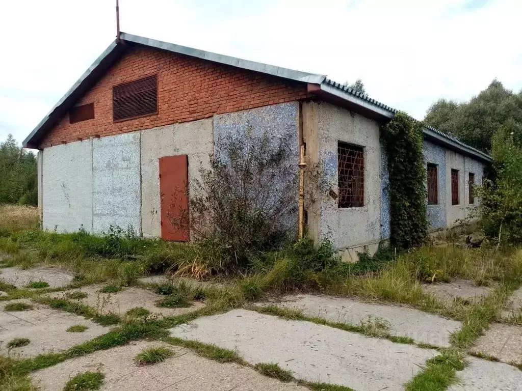 Производственное помещение в Калужская область, с. Хвастовичи ул. ... - Фото 1