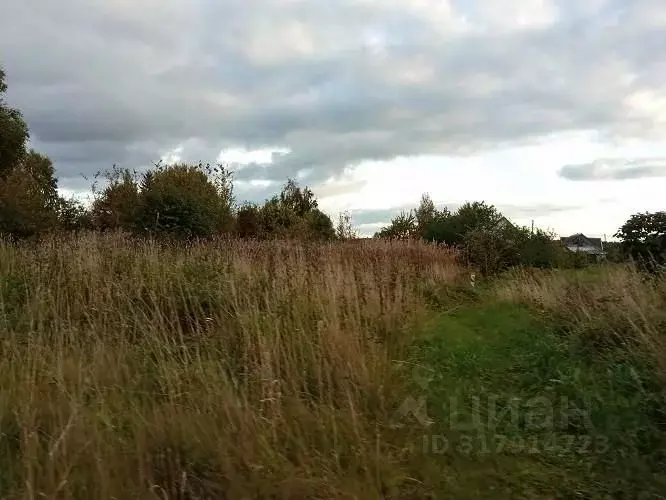 Участок в Псковская область, Псковский район, Тямшанская волость, д. ... - Фото 0