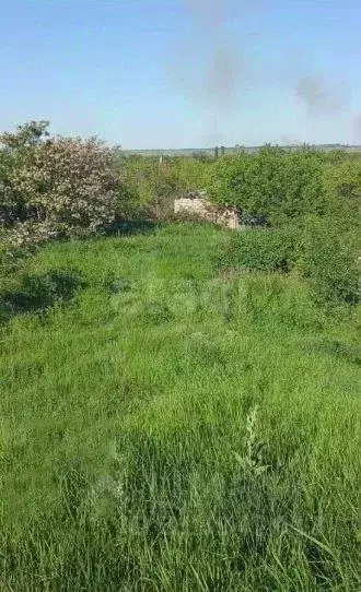 Участок в Саратовская область, Саратов Елшанка мкр,  (15.69 сот.) - Фото 1