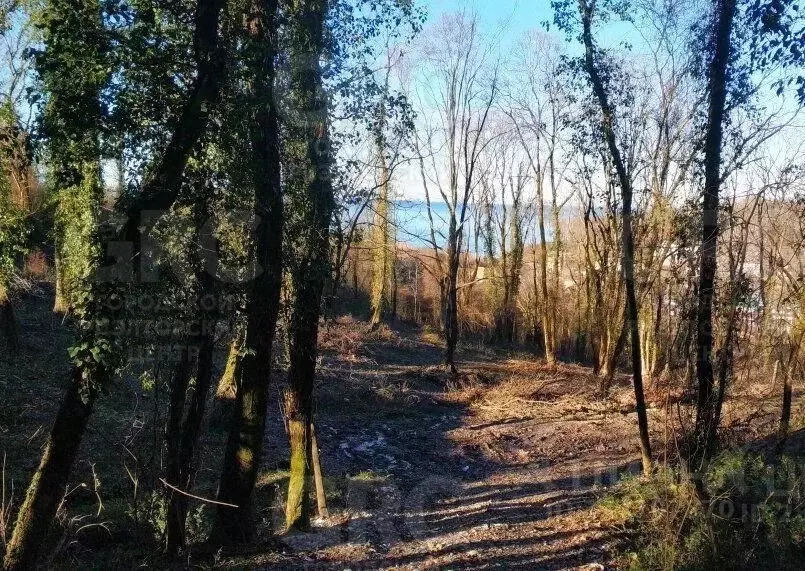 Участок в Краснодарский край, Сочи пос. Нижняя Беранда,  (200.0 сот.) - Фото 0