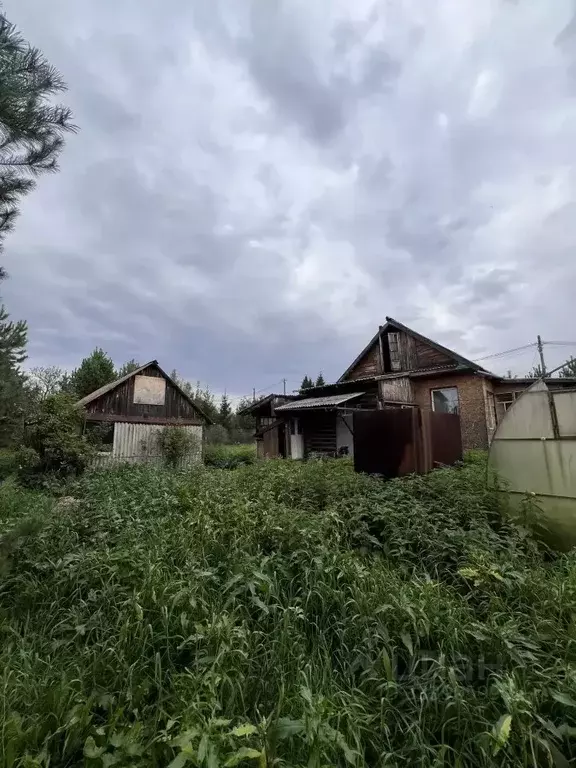 Дом в Свердловская область, Заречный муниципальный округ, с. Мезенское ... - Фото 2