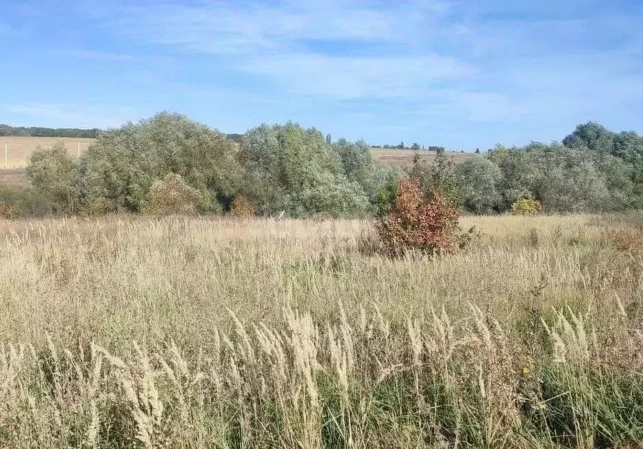 Участок в Воронежская область, Семилукский район, с. Девица  (10.0 ... - Фото 0