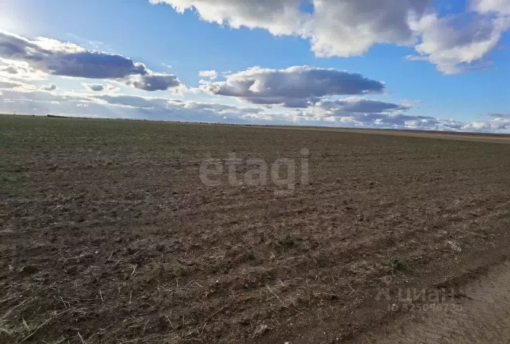 Участок в Крым, Черноморский район, Окуневское с/пос, с. Громово  ... - Фото 1