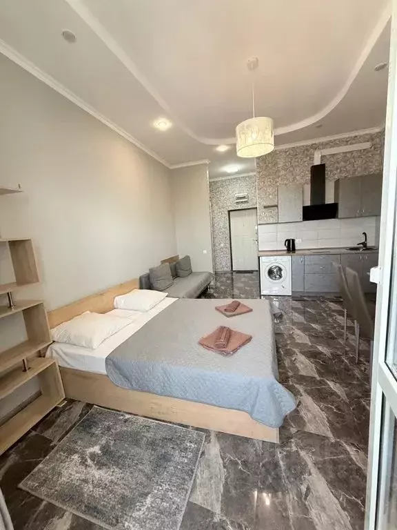 Студия Краснодарский край, Сочи Светлана мкр, ул. Депутатская, 10 ... - Фото 1