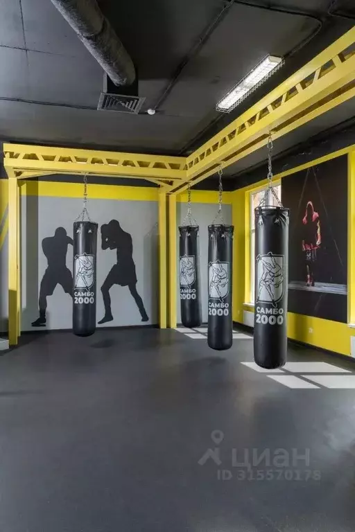 Помещение свободного назначения в Краснодарский край, Геленджик ул. ... - Фото 1